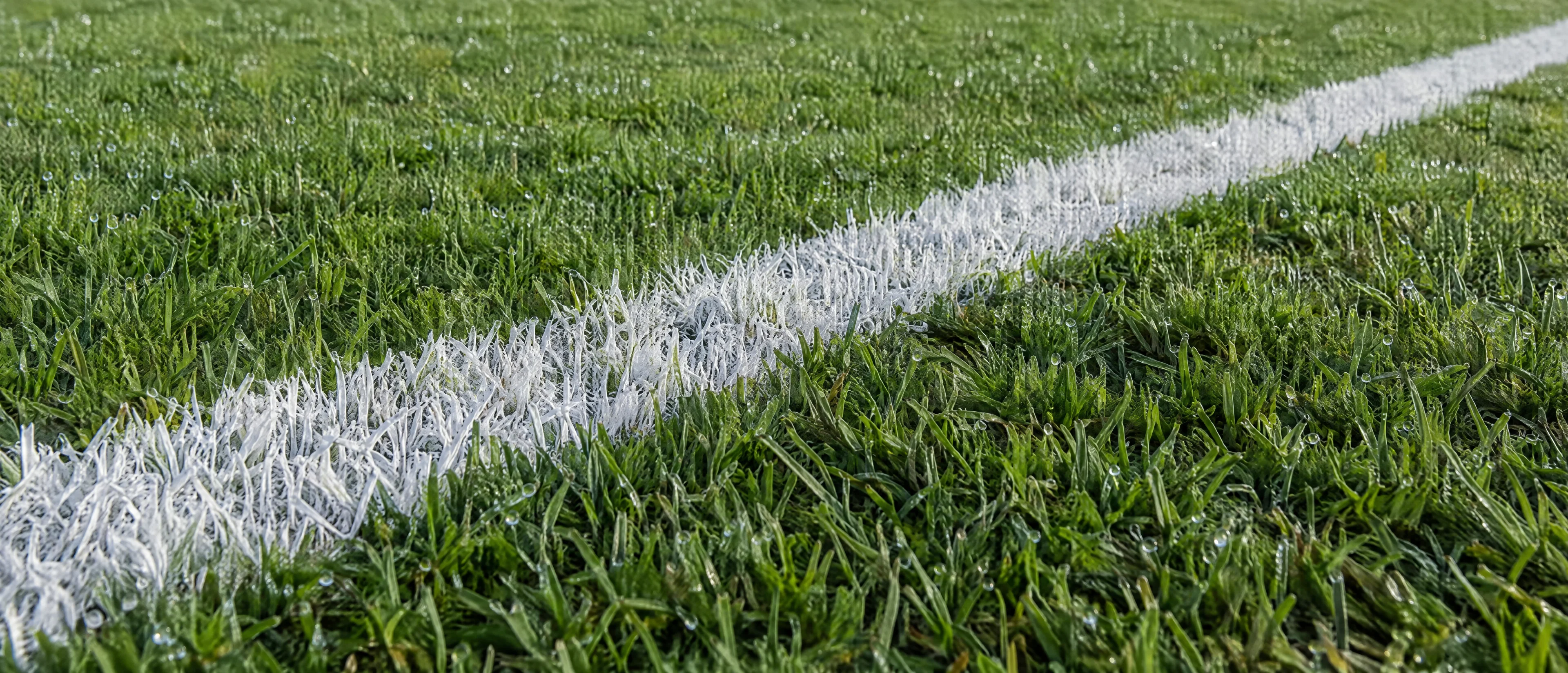 Frisch gezogene weiße Linie auf einem Fußballrasen